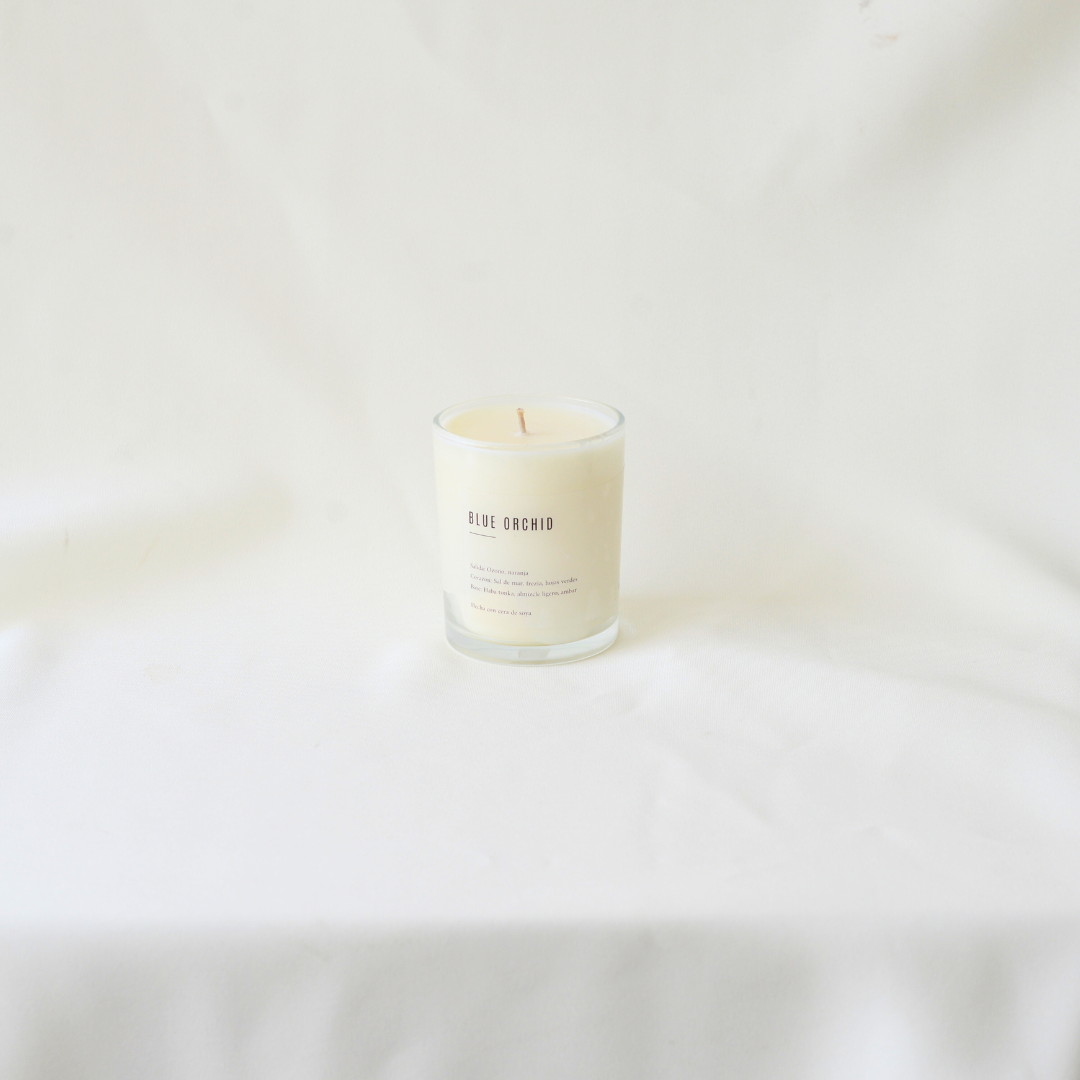 Blue orchid Vela Tarro 7 oz